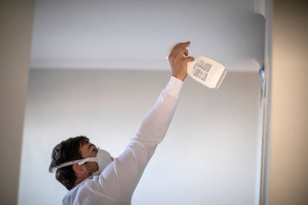Best Mold Cleaning Services  in Lake Crystal, MN