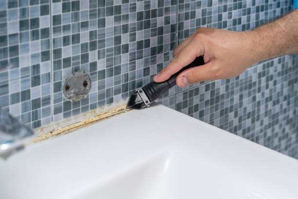 Best Emergency Mold Removal  in Lake Crystal, MN